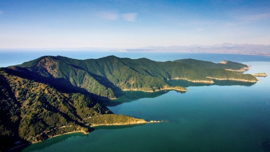 Depart Picton: Marlborough Sounds Afternoon Seafood Cruise - Should you book this afternoon seafood cruise?