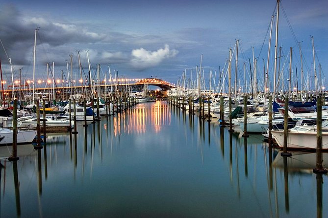 Discover Auckland City Tour: The City of Sails - One Tree Hill (Maungakiekie), 360 Views in Half an Hour