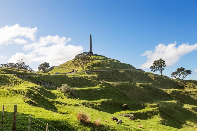 Discover Auckland City Tour: The City of Sails - What’s Included, and How the Price Adds Up in Real Life