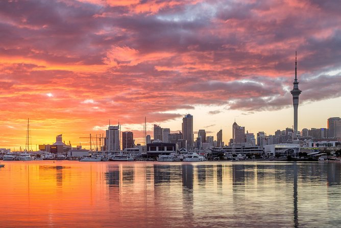 Discover Auckland City Tour: The City of Sails - Language Support and Guide Style That Can Change Your Day