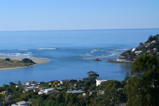 Discover Christchurch Sightseeing Tour - Christchurch by Coach, Not by Guesswork