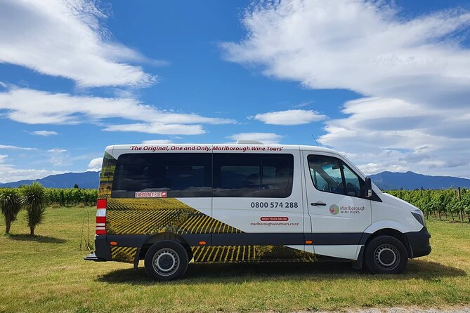 Discover Marlborough Wine - Afternoon Marlborough Wine Tour - Picton or Blenheim Pickup: The Timing Trap You Can Avoid