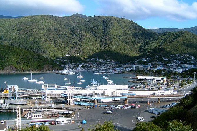 Discover Picton: Self-Guided Audio Tour - Key Highlights You’ll Actually Care About
