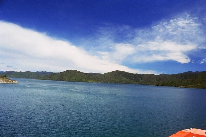 Discover Picton: Self-Guided Audio Tour - Picton Foreshore With a Narrated Map in Your Pocket