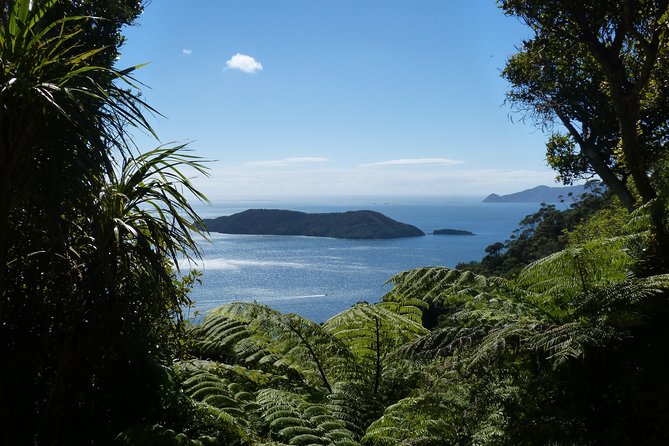 Discover Picton: Self-Guided Audio Tour - Why the GPS Audio Works Better Than Guesswork