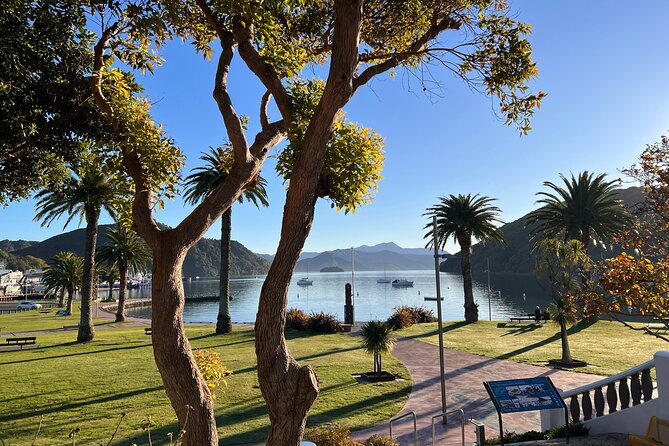 Discover Picton: Self-Guided Audio Tour - Timing That Fits Real Life: Short Stops, 1 to 3 Hours
