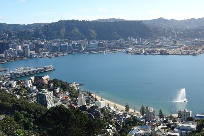 Discover Wellington 3 hour City Tour - Key highlights worth prioritizing