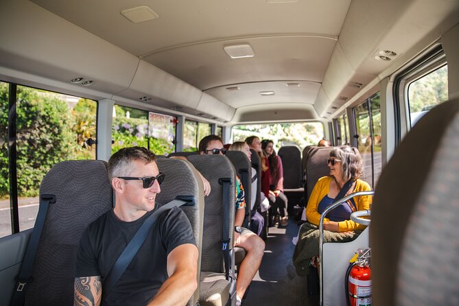 Discover Wellington 3 hour City Tour - Mt Victoria Lookout: the View You Came For