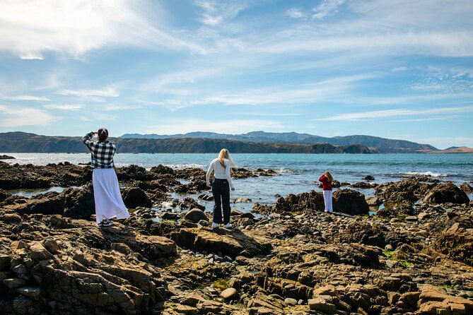 Discover Wellington 3 hour City Tour - Cable Car to the Summit: the Main Event (and When to Check It)