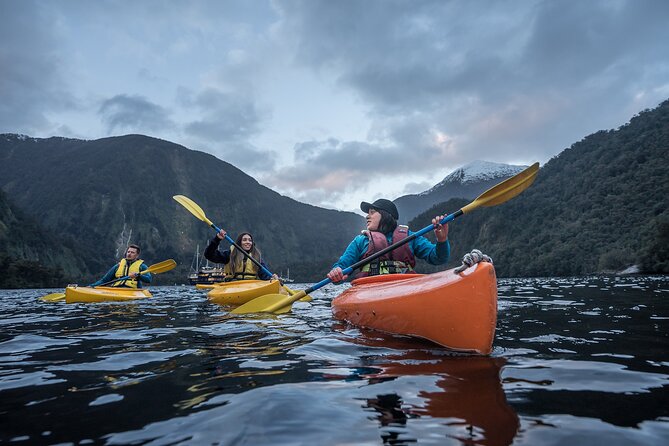 Doubtful Sound Overnight Cruise - Wildlife spotting on a moving boat: penguins, dolphins, seals
