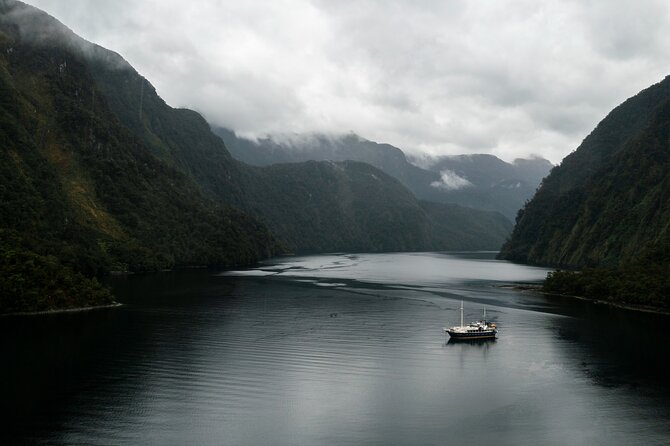 Doubtful Sound Overnight Cruise - Kayaking and swimming: fun factor, plus one practical caution