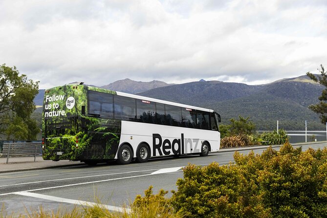Doubtful Sound Wilderness Cruise from Queenstown - Price and Value: Is $287.95 Worth It?