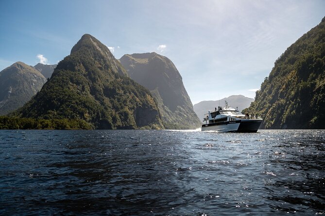 Doubtful Sound Wilderness Cruise from Te Anau - Weather, clothing, and comfort tips that actually help