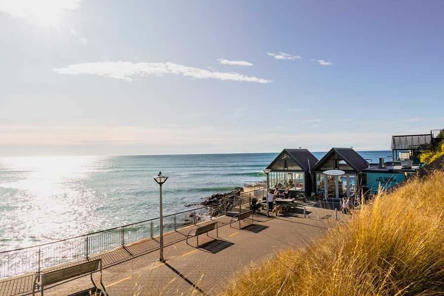 Dunedin: 3 Hour Artisan Food Walking Tour - Key moments worth planning for