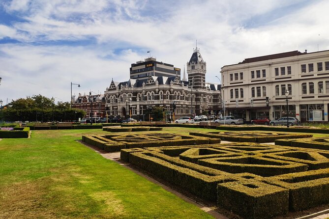 Dunedin City and Coastal Views 3-Hour Small-Group Guided Tour - Price and what you actually get for it