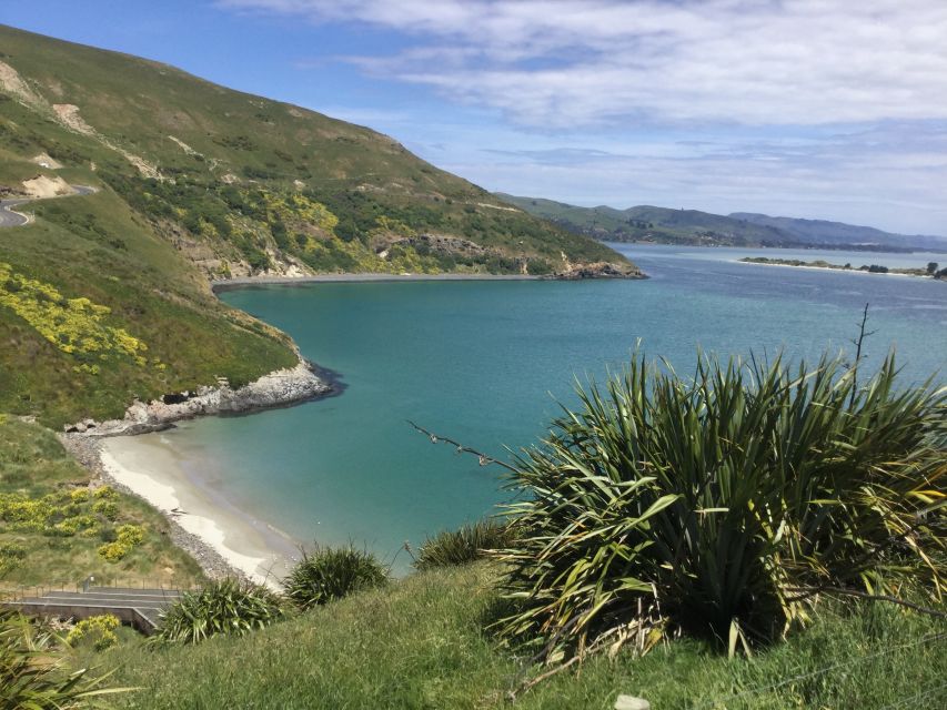 Dunedin: City Highlights and Otago Peninsula Scenery - From Port Chalmers to Baldwin Street: your morning launch into Dunedin