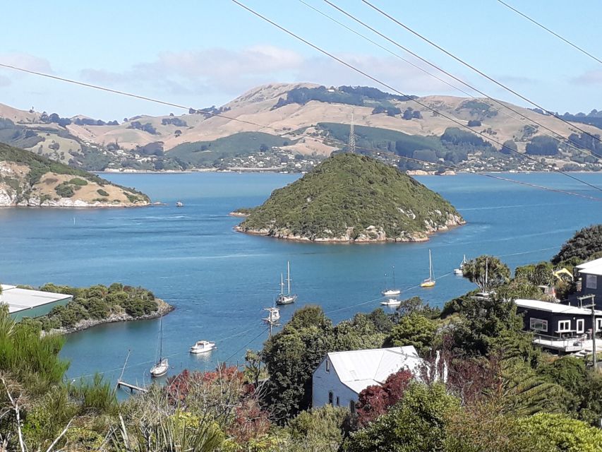 Dunedin: City Highlights and Otago Peninsula Scenery - Harbor angles on the low road, then back to Dunedin