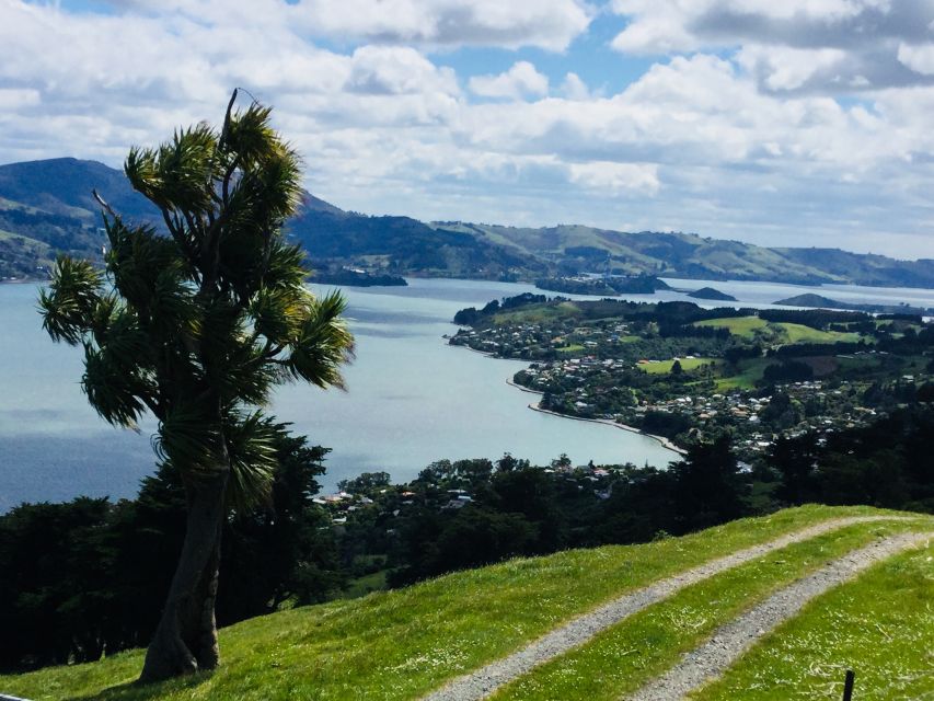 Dunedin: City Highlights and Otago Peninsula Scenery - Dunedin Botanic Gardens: a calm break in the middle of a short day