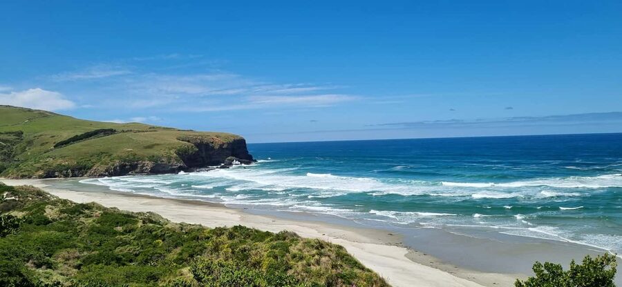 Dunedin City Highlights & Larnach Castle Tour - First, What This Tour Really Is (And What It Is Not)