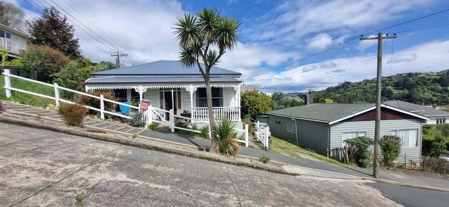 Dunedin City Highlights & Larnach Castle Tour - Getting Oriented Fast in Central Dunedin