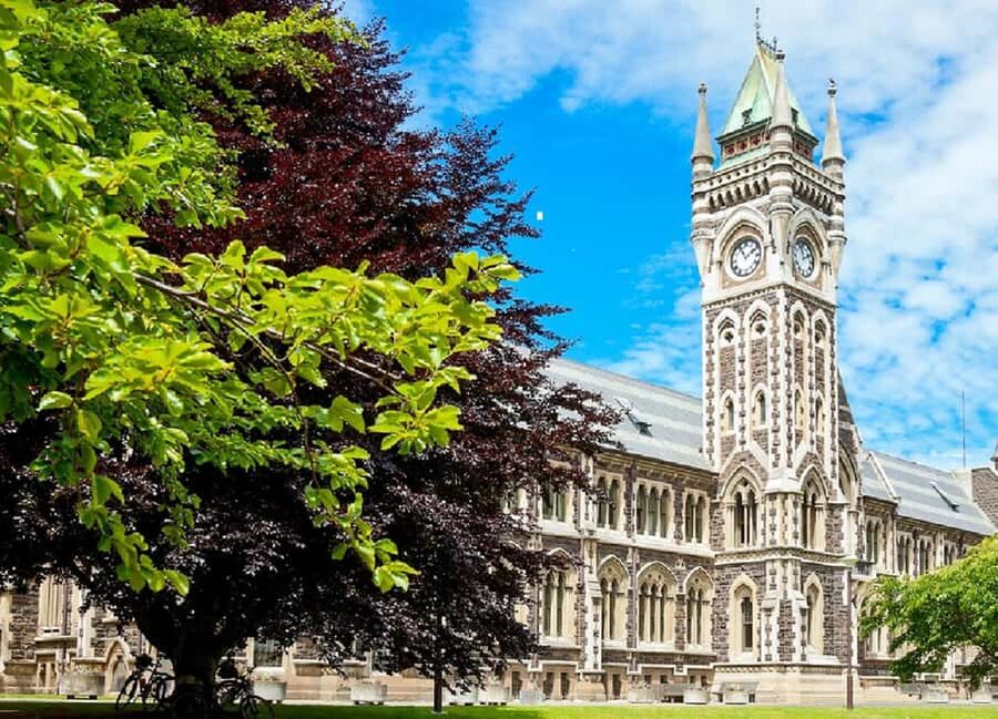 Dunedin City Highlights & Larnach Castle Tour - Larnach Castle Gardens: Included Grounds Are the Real Star