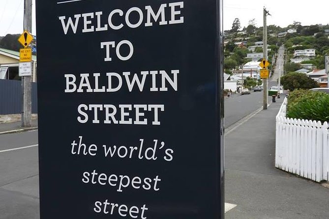 Dunedin City Highlights, Otago Peninsula Scenery & a Guided Penguin Reserve Tour - Key Highlights You Should Know