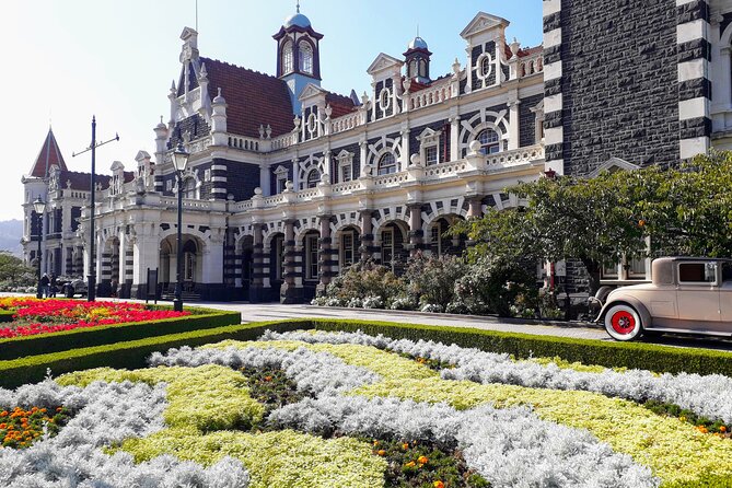 Dunedin City Highlights, Otago Peninsula Scenery & a Guided Penguin Reserve Tour - Price and Logistics: where $198.58 makes sense