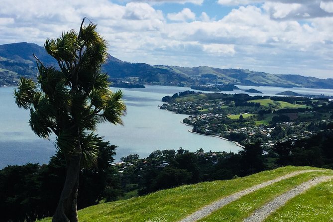 Dunedin City Highlights, Otago Peninsula Scenery & a Guided Penguin Reserve Tour - Should You Book Fantail Tours for Dunedin and the Penguin Reserve?