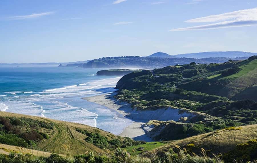 Dunedin City & Otago Peninsula Scenery Day Tour - Sandfly Bay viewing platform, seals from a safe distance