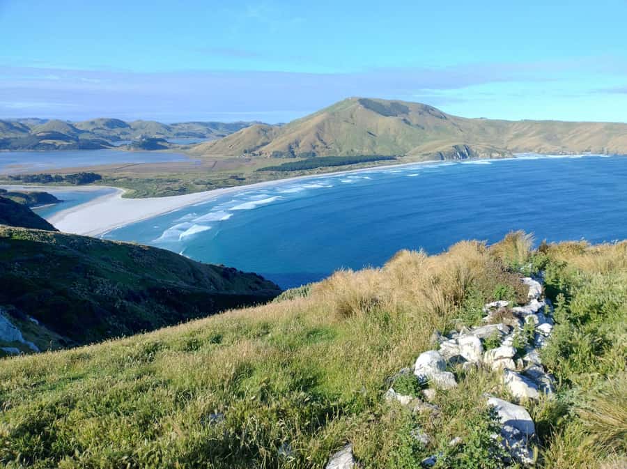 Dunedin City & Otago Peninsula Scenery Day Tour - Small group comfort and guide style, why it matters more than you think