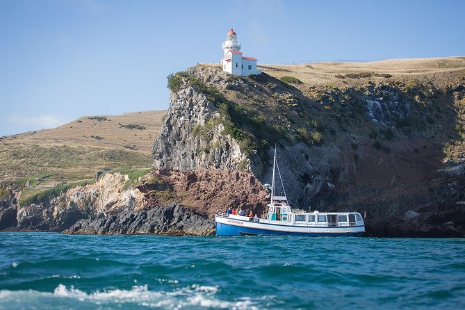 Dunedin City to Sea Wildlife Cruise + Peninsula Bus Tour - The harbour cruise: warmth, WiFi, and a better chance at seals