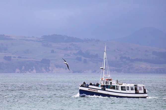 Dunedin City to Sea Wildlife Cruise + Peninsula Bus Tour - Taiaroa Head: lighthouse views and the Royal Albatross draw