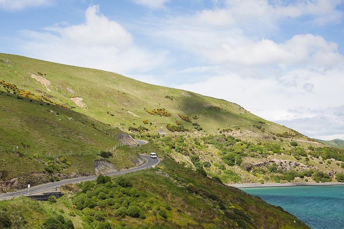 Dunedin City to Sea Wildlife Cruise + Peninsula Bus Tour - Price and value: what you get for about $74.47