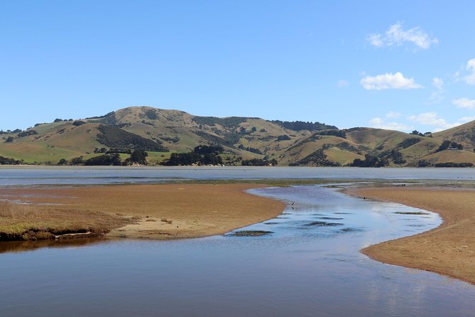 Dunedin City, Wildlife and Larnach Castle - Key highlights at a glance