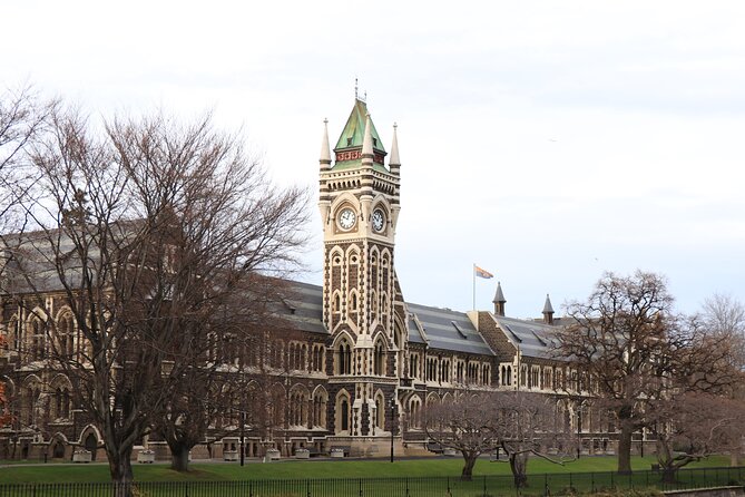 Dunedin City, Wildlife and Larnach Castle - Baldwin Street, the University clock tower, and Scottish heritage in the Octagon