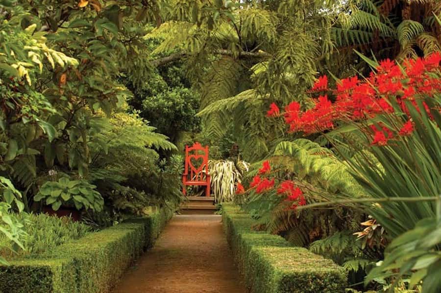 Dunedin: Larnach Castle & Gardens Admission Ticket - Why Larnach Castle Feels Like a Time Machine Above the Otago Peninsula