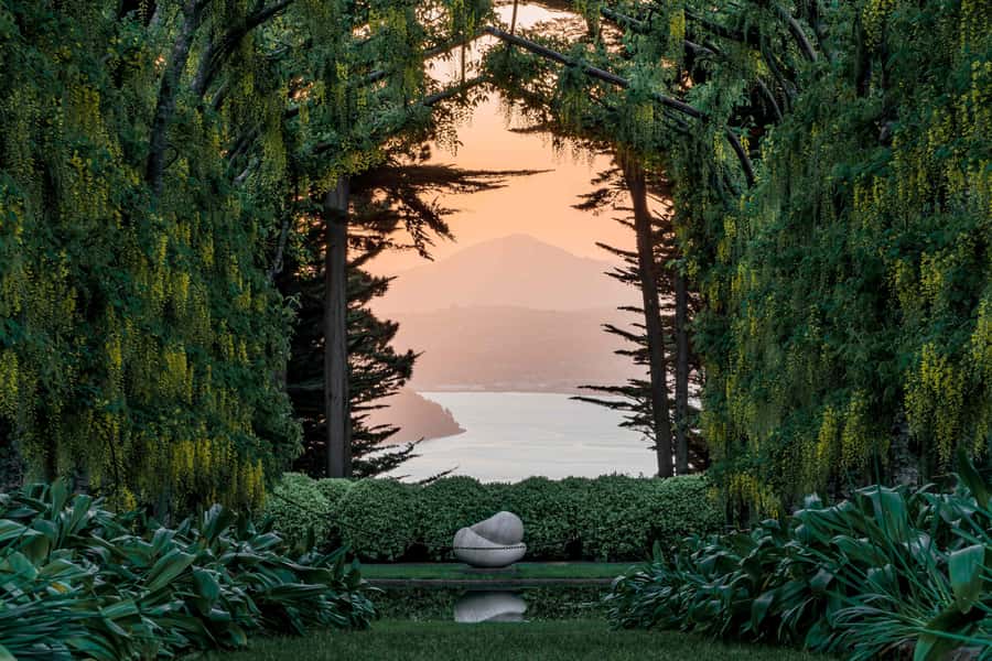 Dunedin: Larnach Castle & Gardens Admission Ticket - The Historic Tower 360 Views: Your Best Payoff for the Effort