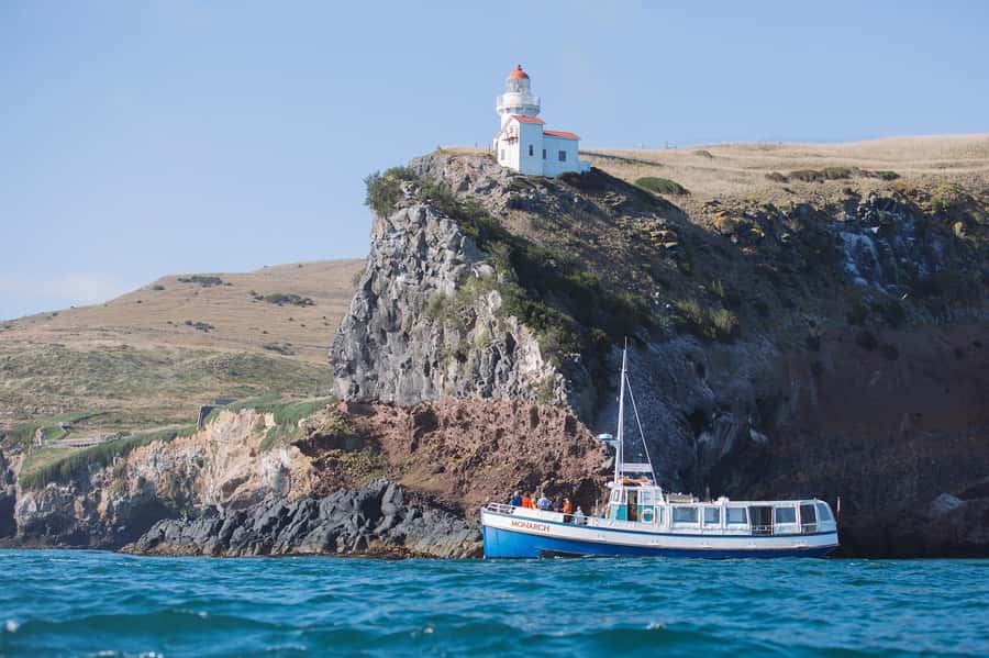 Dunedin: Monarch - One Hour Wildlife Cruise - What to bring so the wind and spray don’t win