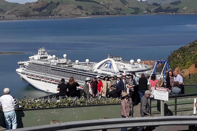 Dunedin Nature & City Tour – Full Day Cruise Excursion - Key things to know before you go