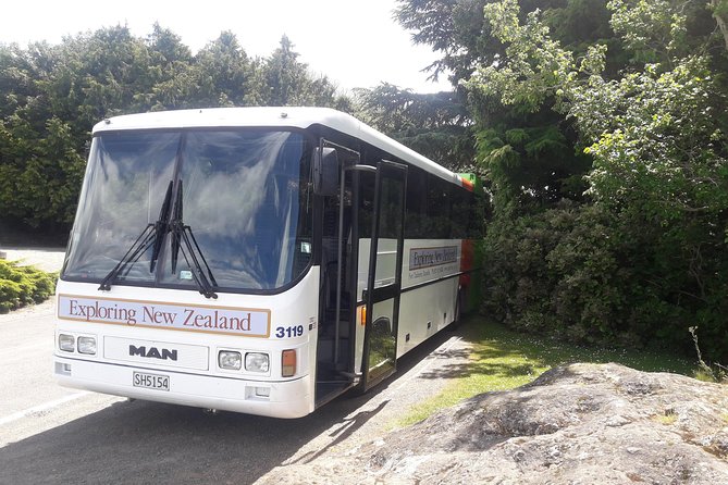 Dunedin Nature & City Tour – Full Day Cruise Excursion - Getting started in Port Chalmers, then rolling into Dunedin