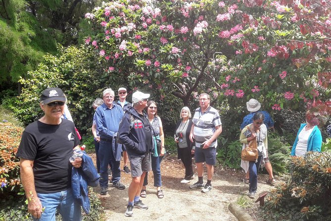 Dunedin Nature & City Tour – Full Day Cruise Excursion - Dunedin Botanic Garden: the weather decides your route