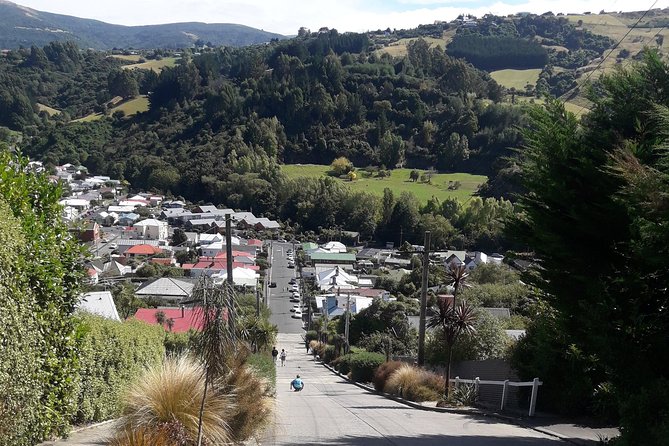 Dunedin Nature & City Tour – Full Day Cruise Excursion - St Clair Beach and St Kilda: coastal views with realistic time limits