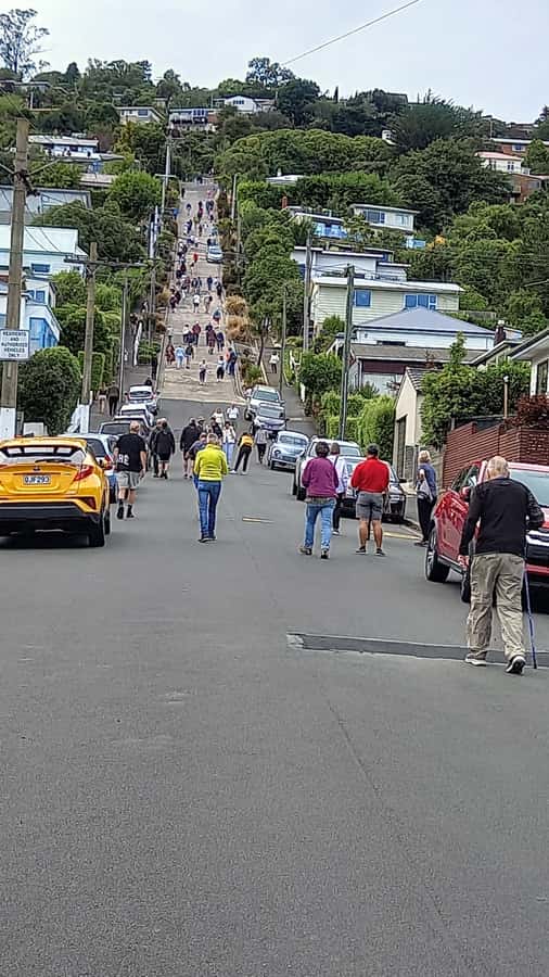 Dunedin: Otago Peninsula with Guided Penguin Reserve Tour - The Opera reserve for Yellow-eyed Penguins: the main reason to book