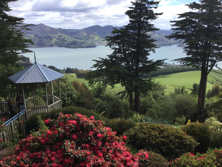 Dunedin: Peninsula with Lanarch Castle gardens & Olveston - Key Highlights You Should Not Miss