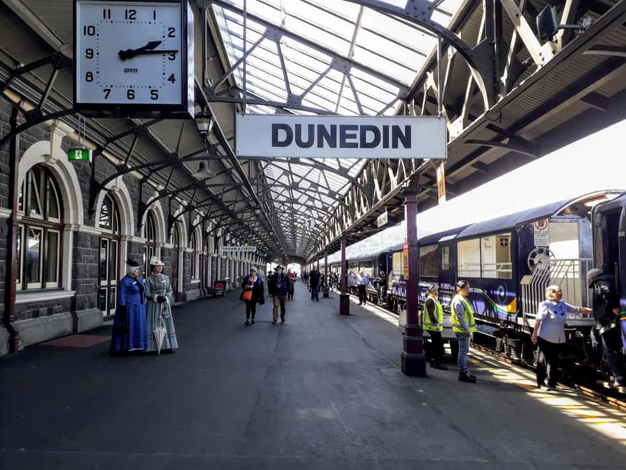Dunedin: Peninsula with Lanarch Castle gardens & Olveston - Guide Quality Makes This Tour Feel Easy