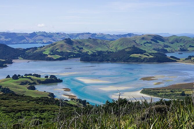 Dunedin Shore Excursion City Sightseeing & Tour of Larnach Castle - Value Check: Does $108.60 Make Sense for Your Cruise Day?