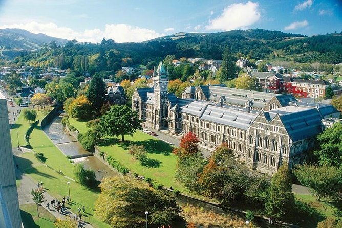 Dunedin Shore Excursion - Sightseeing, Larnach Castle, Chinese Garden & Museum - Dunedin Chinese Garden: A Real Cultural Pause, Not Just a Photo Stop