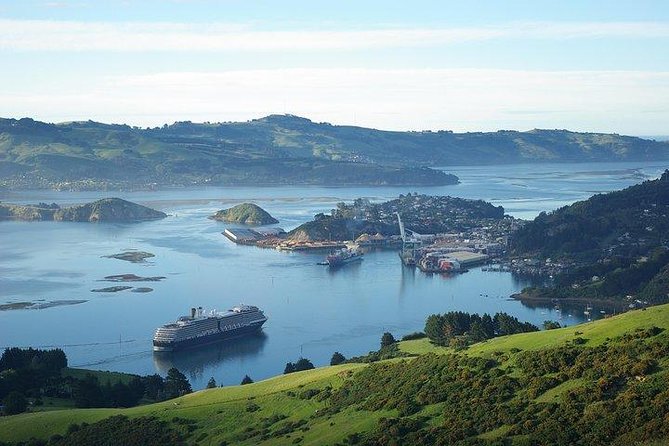 Dunedin Shore Excursion - Sightseeing, Larnach Castle, Chinese Garden & Museum - Comfort, Timing, and What to Bring From Port Chalmers