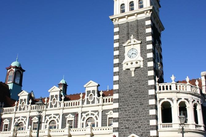 Dunedin Shore Excursion: Small-Group Tour of Dunedin and the Otago Peninsula - The best part: a beach walk for sea lions and fur seals