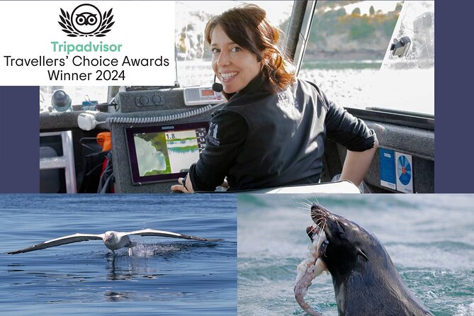 Dunedin Wildlife Cruise-Albatross, seals and harbour - Timing it right: 90 to 120 minutes with real sailing time